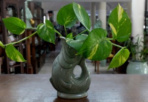 Celadon Fish vase
