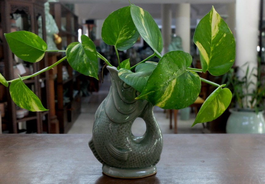 Celadon Fish vase