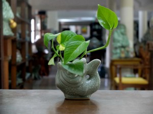 Celadon Fish vase
