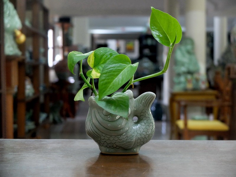 Celadon Fish vase